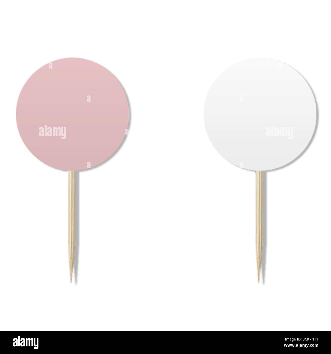 Due pennarelli rotondi su bastoncini di legno, uno rosa e uno bianco, probabilmente a scopo decorativo o di etichettatura. Foto Stock