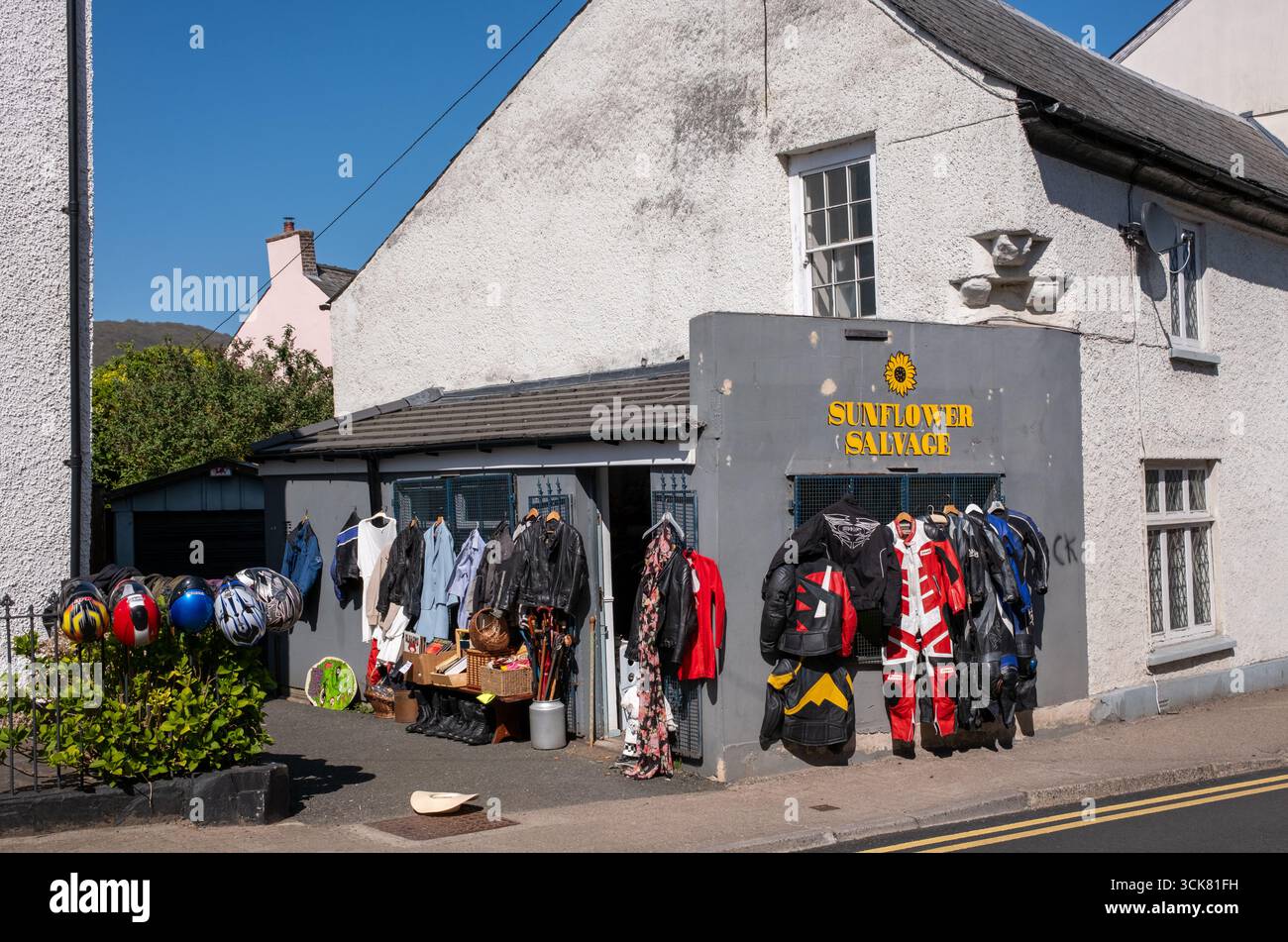 Sunflower Salvage Vintage Shop ad Abergavenny Monmouthshire Galles Regno Unito Foto Stock