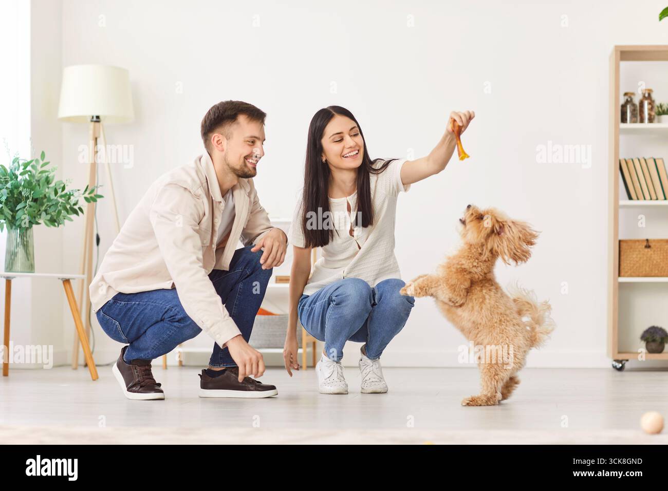Buona famiglia coppia che pratica il cane a casa con esercizi e comandi Foto Stock