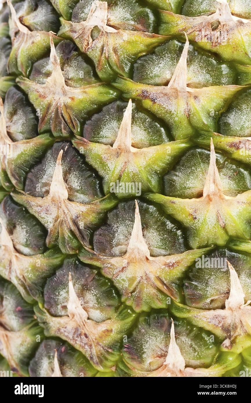 Ananas la texture della pelle, può essere utilizzato come sfondo Foto Stock