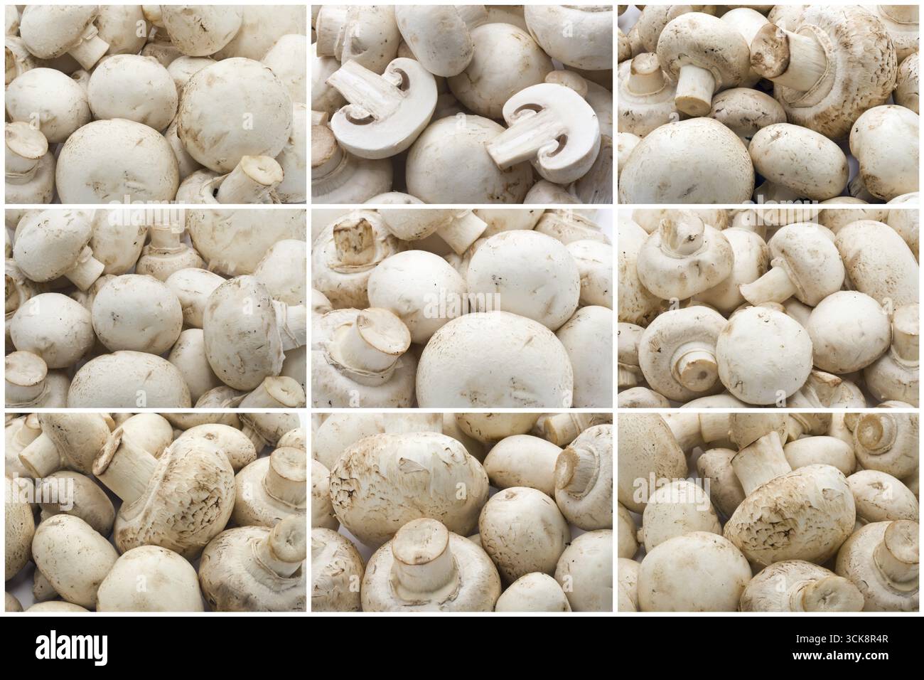 Funghi champignon rendendo cibo crudo sfondo pattern Foto Stock