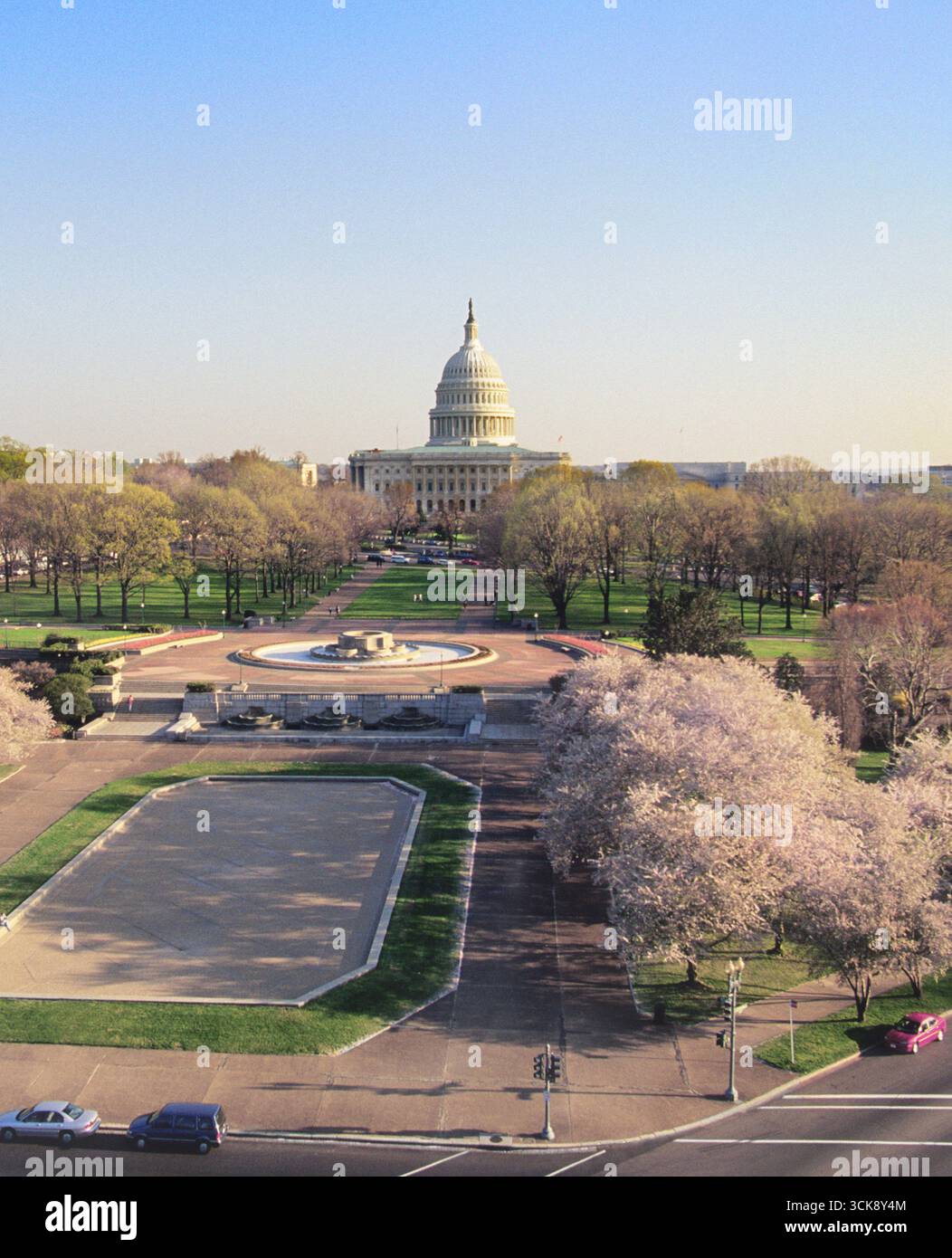 Il Campidoglio di Washington DC, affacciato sul Mall nella capitale degli Stati Uniti. I ciliegi fioriscono in primavera Foto Stock