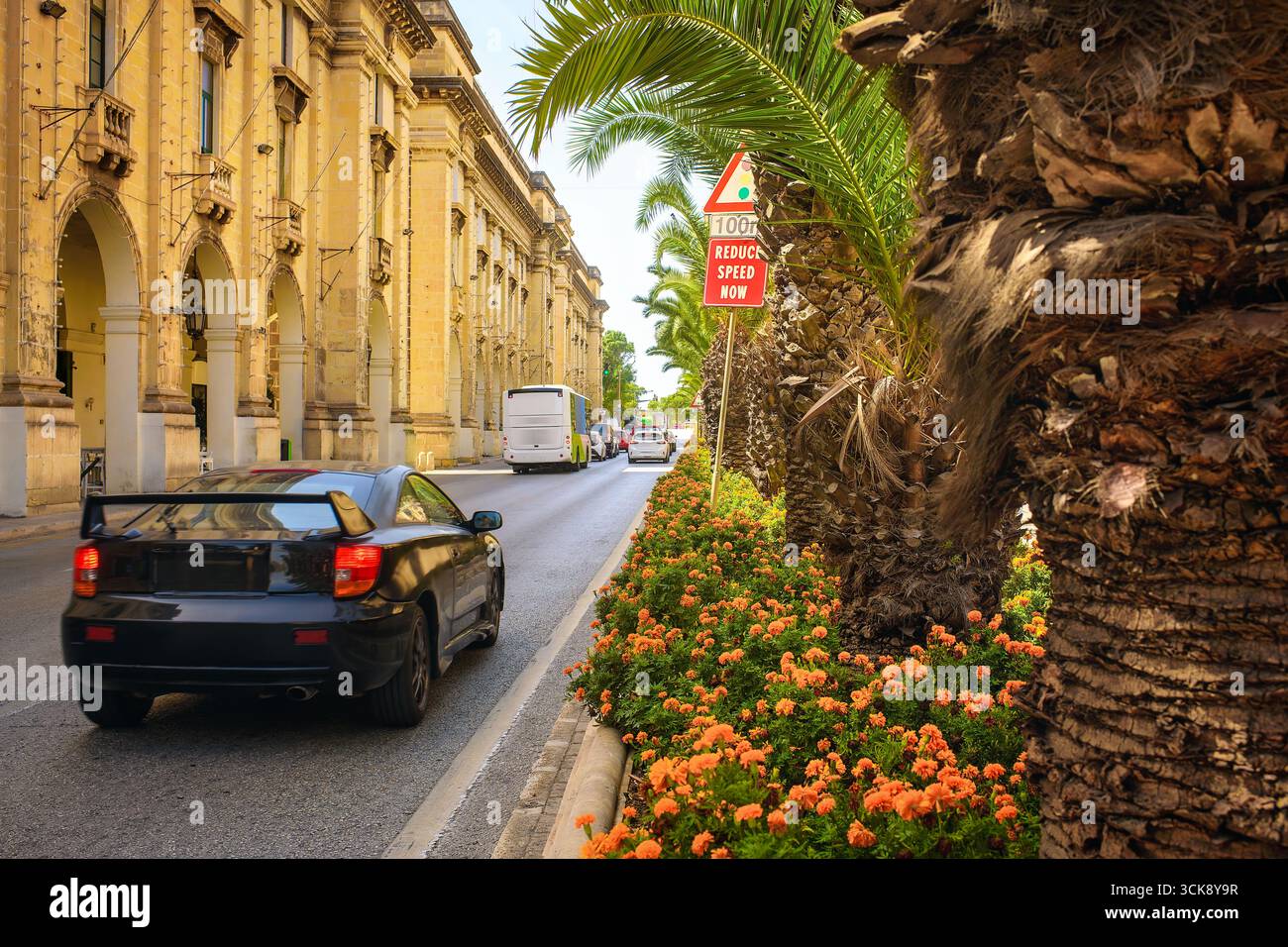 Strada cittadina con auto, palme, fiori e un cartello stradale che recita "Reduce Speed Now" vicino all'architettura storica. Foto Stock