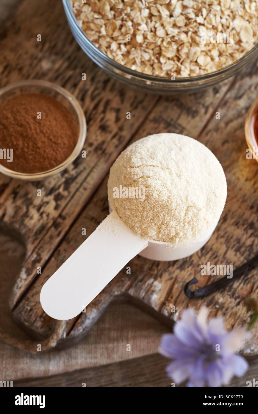 Proteine del siero di latte in polvere, fiocchi d'avena, cannella e cialda di vaniglia - ingredienti per snack bar con proteine fatte in casa Foto Stock