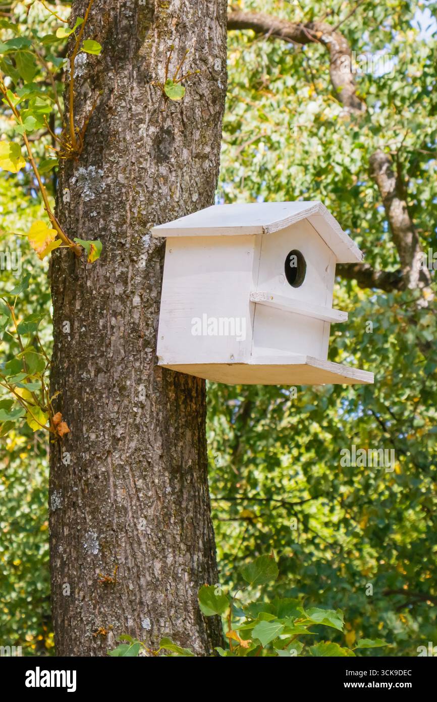 Primo piano di una casa per uccelli di legno bianca fissata su un tronco di albero in una foresta verdeggiante. Simbolo della vita ecologica, della cura della fauna selvatica e della conservazione dell'habitat in na Foto Stock