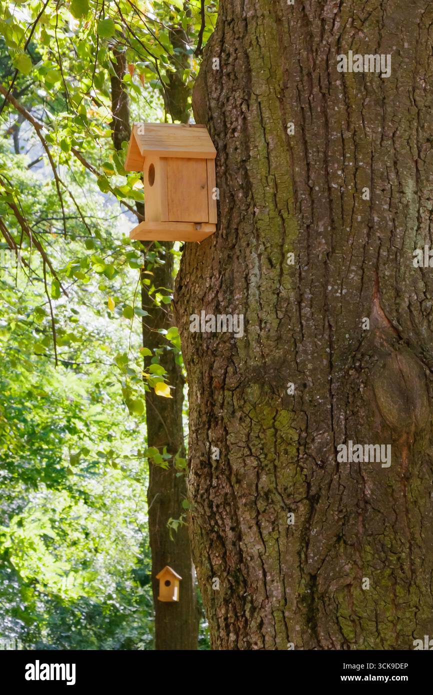 Primo piano di una casetta per uccelli in legno realizzata a mano montata su un grande tronco di albero, con un'altra visibile sullo sfondo. Simbolo della vita ecologica, rifugio per la fauna selvatica, Foto Stock