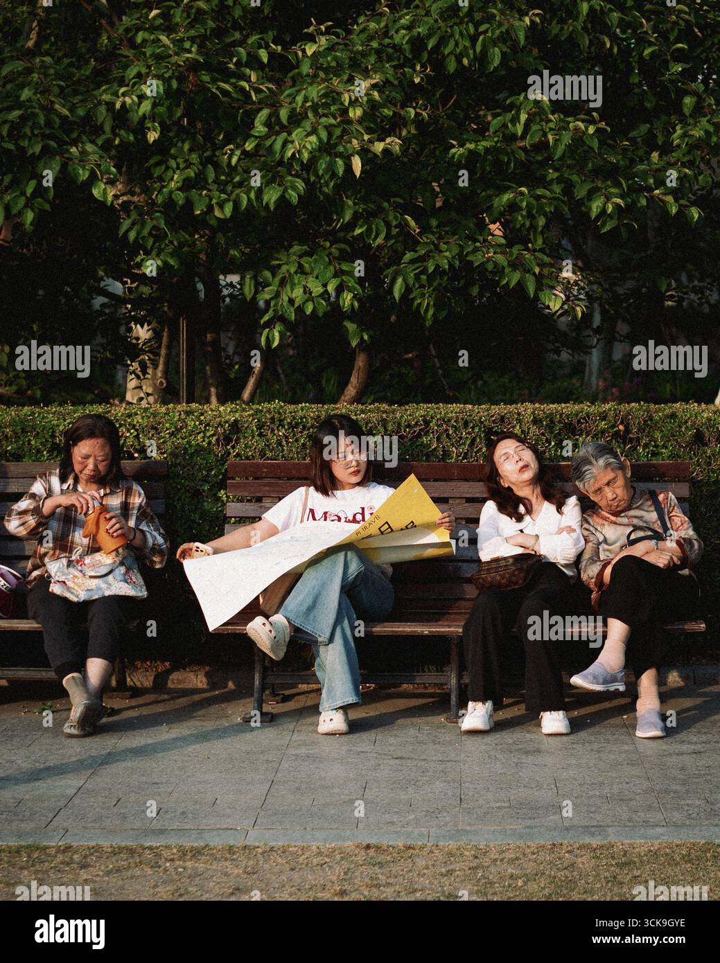 Una scena sincera di quattro donne che si godono il loro tempo su una panchina del parco, ognuna nel proprio mondo in mezzo a una vegetazione lussureggiante Foto Stock