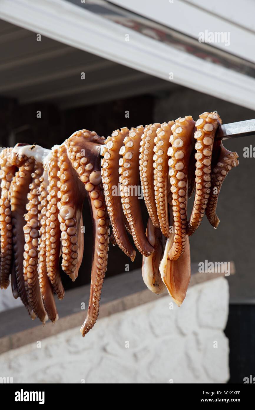 Polpo fresco appeso presso un ristorante a Perdika, Isola di Egina, Grecia Foto Stock