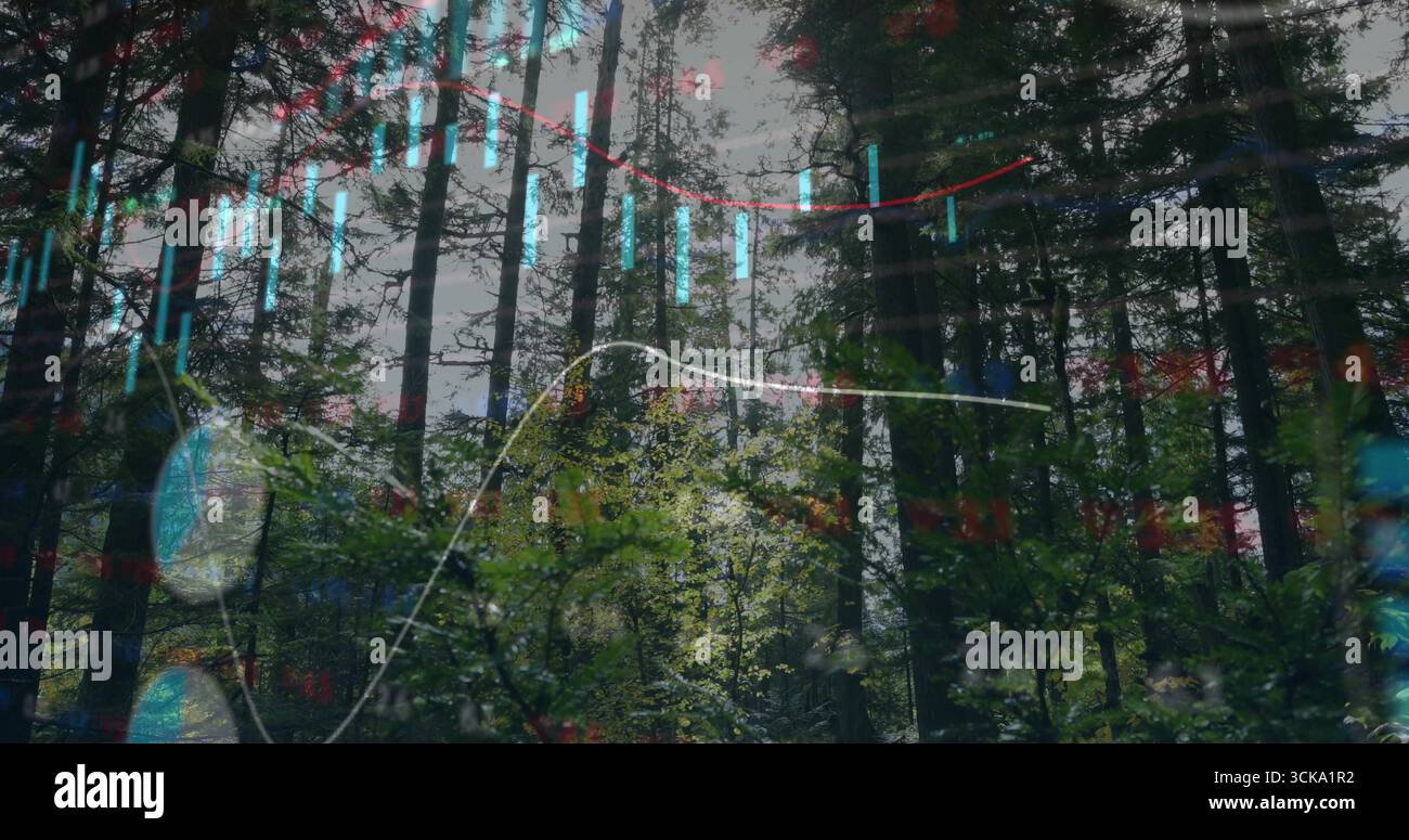 Visualizzazione di tronchi e arbusti in boschi temperati, con istogrammi colorati e grafici a linee Foto Stock