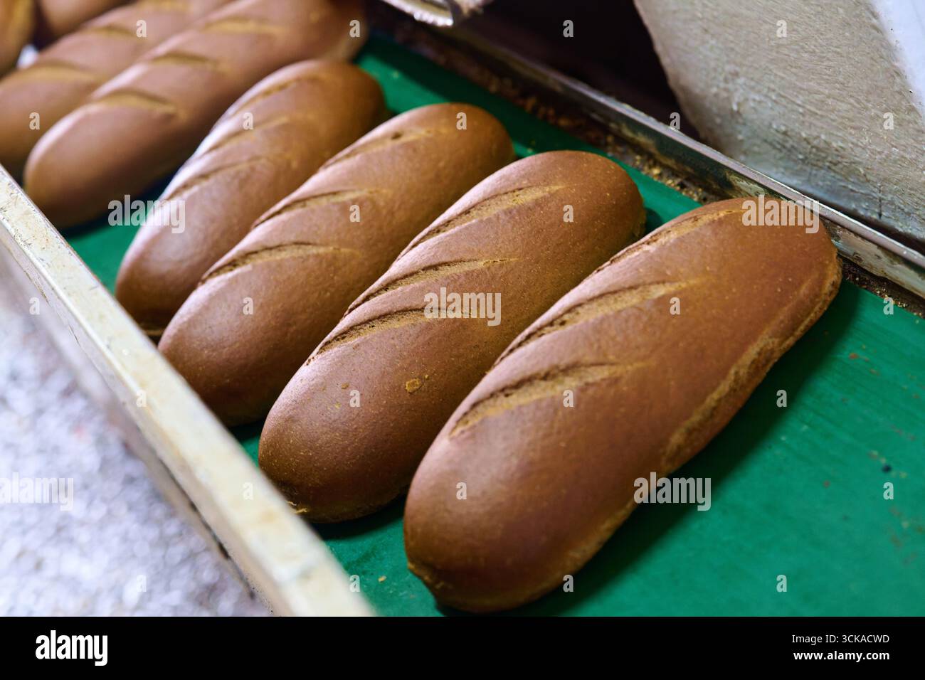 Pani bianchi di Baton appena sfornati e rinfrescati in una fabbrica di pane affollata nelle prime ore del mattino Foto Stock