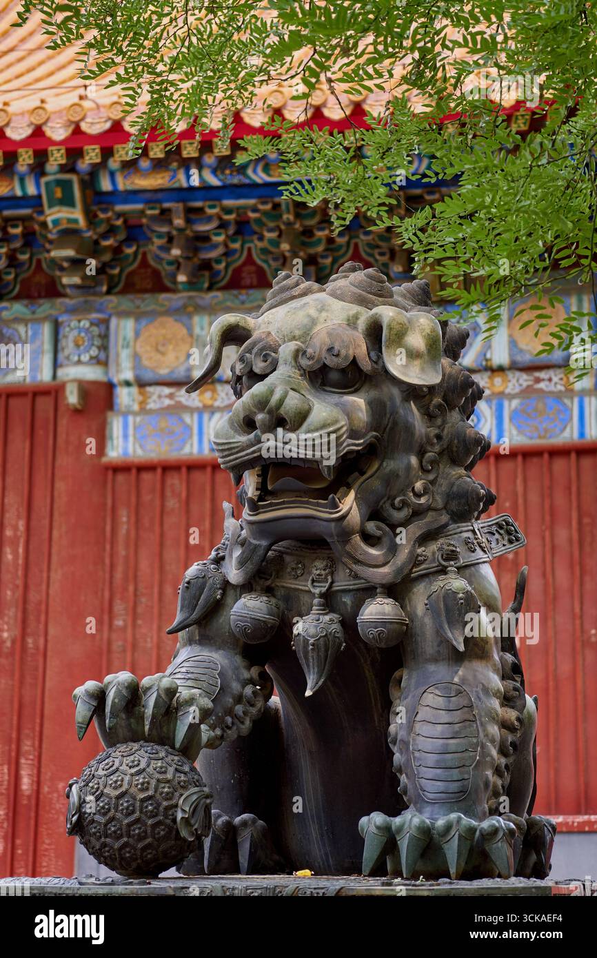 Dettaglio dettagliato del tempio del Lama a Pechino Foto Stock