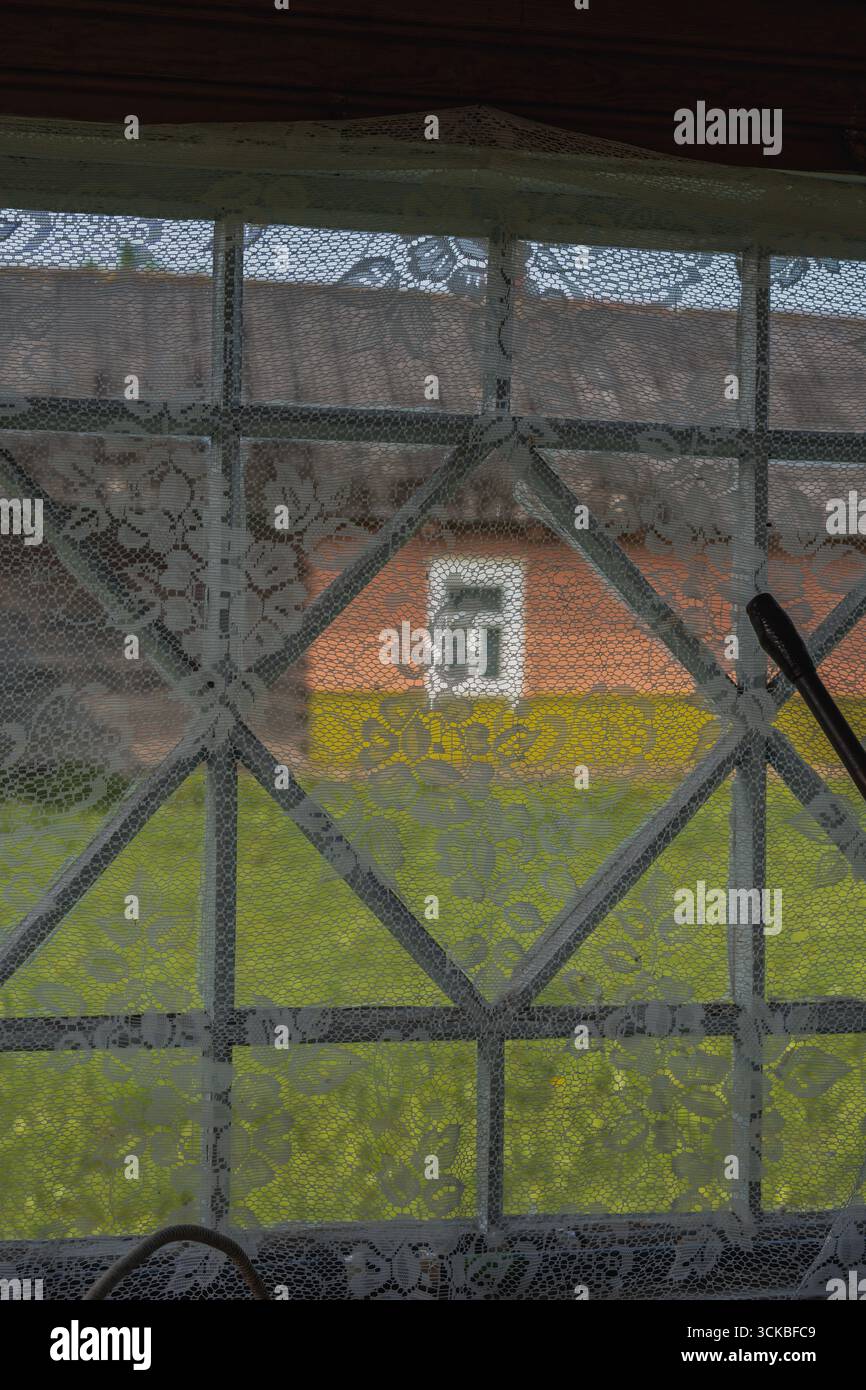 Una finestra con tende in pizzo floreale si affaccia su un edificio in mattoni rossi con una finestra incorniciata di bianco, circondata da erba verde in un ambiente rurale bielorusso. Foto Stock