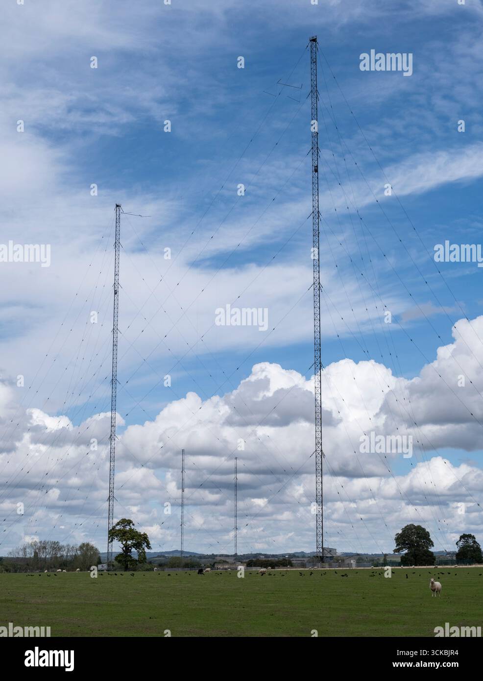 Gli alberi di trasmissione radio alti 213 metri a Wychbold, Worcestershire, Inghilterra. Foto Stock