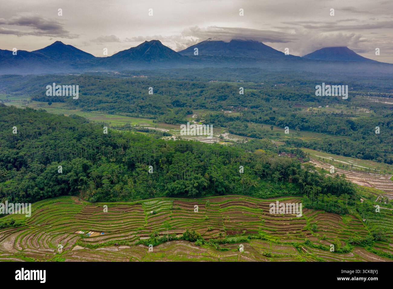Vista aerea di lussureggianti campi terrazzati verdi con montagne sullo sfondo sotto un cielo nuvoloso Foto Stock