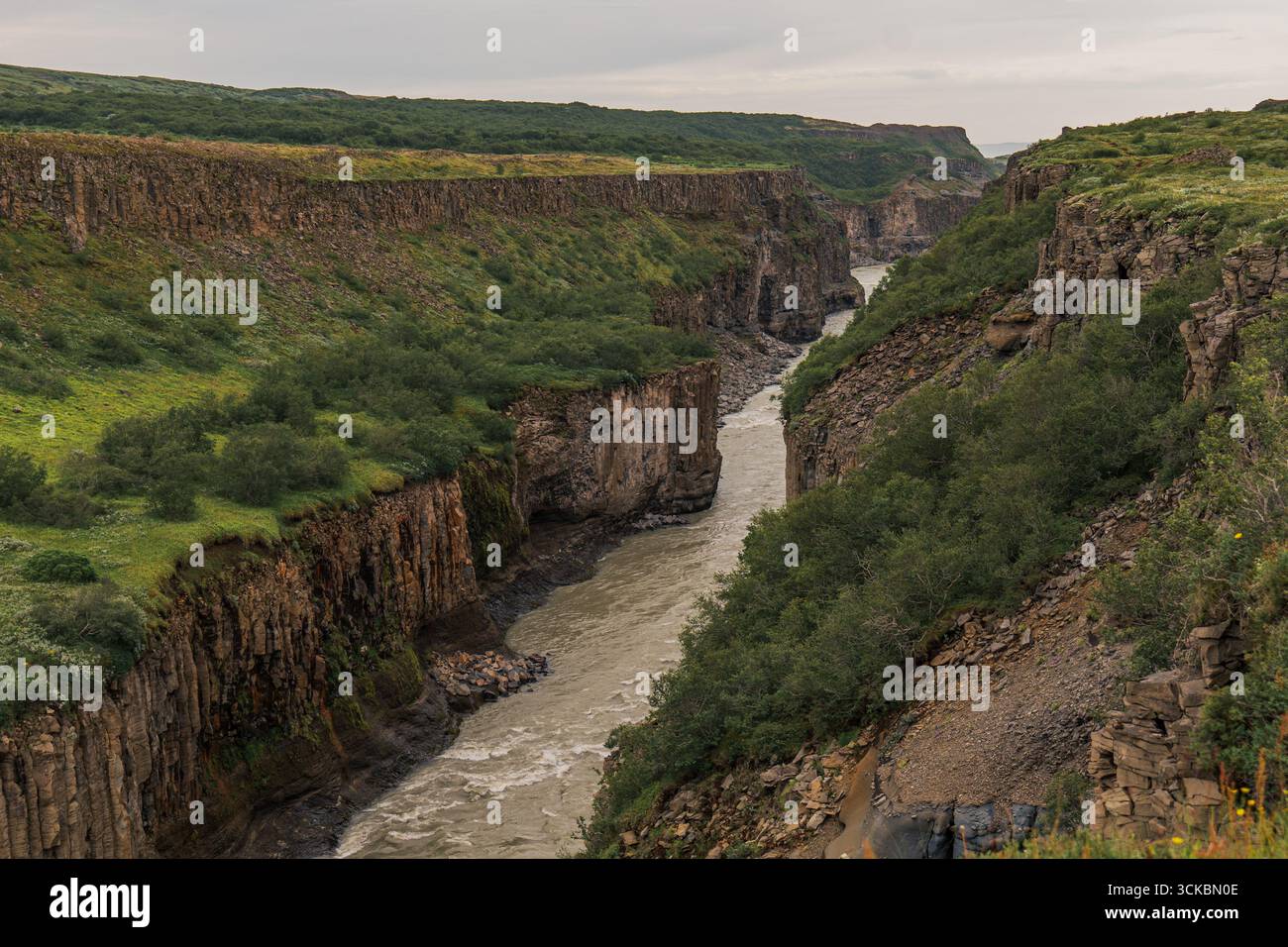 Un aspro canyon in Islanda presenta ripide scogliere verdi, formazioni basaltiche e un fiume che scorre sotto un cielo nuvoloso, creando un'atmosfera tranquilla. Foto Stock