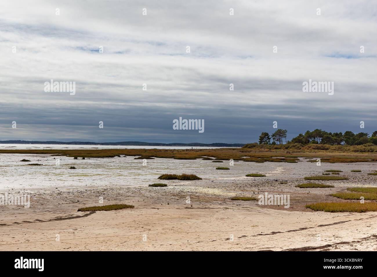 Seacape sulla baia di French Arcachon Foto Stock