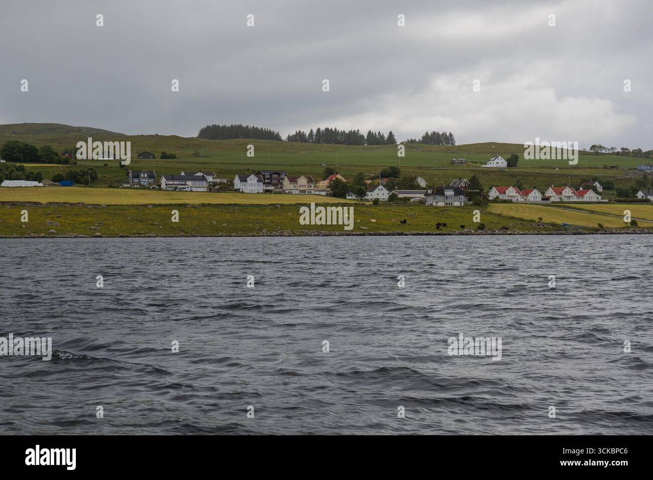 Tranquillo villaggio norvegese su una costa erbosa, caratterizzato da case con tetti rossi e bianchi, acque calme in primo piano e verdi colline sullo sfondo Foto Stock
