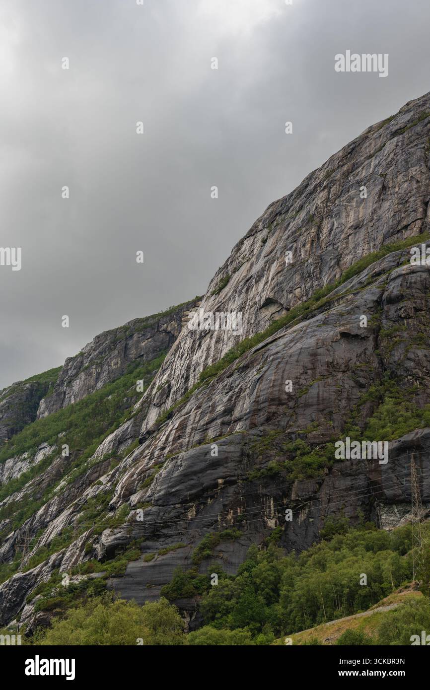 Aspre scogliere con macchie di verde si innalzano sopra un fitto gruppo di alberi a Lysebotn, Norvegia, sotto un cielo coperto. Una struttura debole è visibile Foto Stock