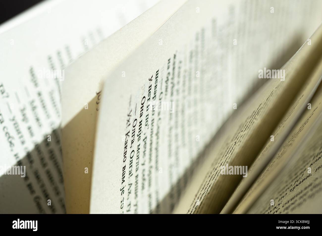 Le pagine in un libro aperto chiudono, romanzo con lettere cirilliche Foto Stock