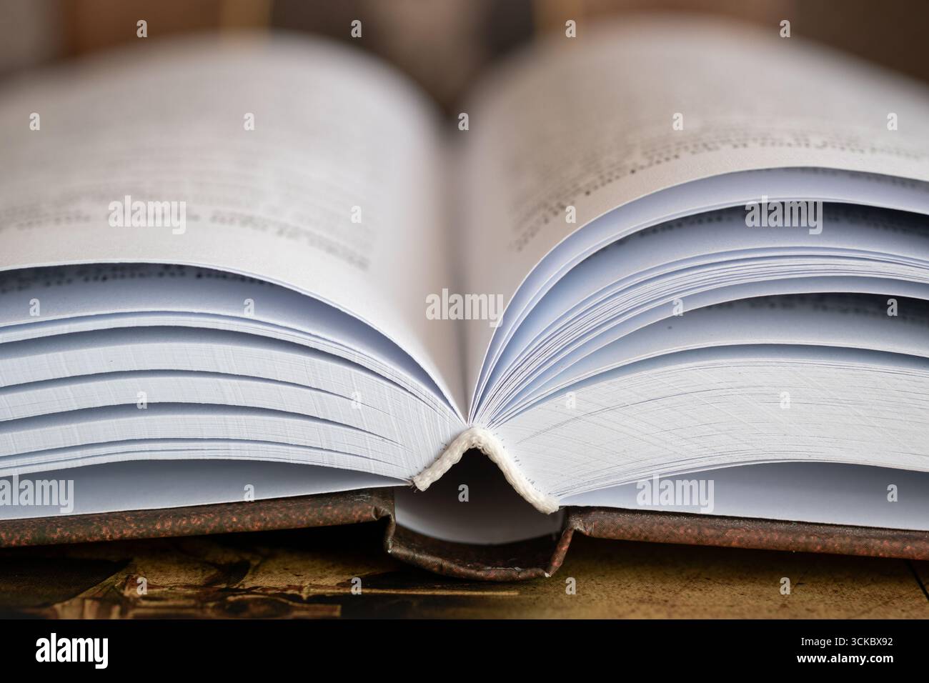 Primo piano del libro aperto con copertina rigida, libro disteso sul dorso del libro Foto Stock