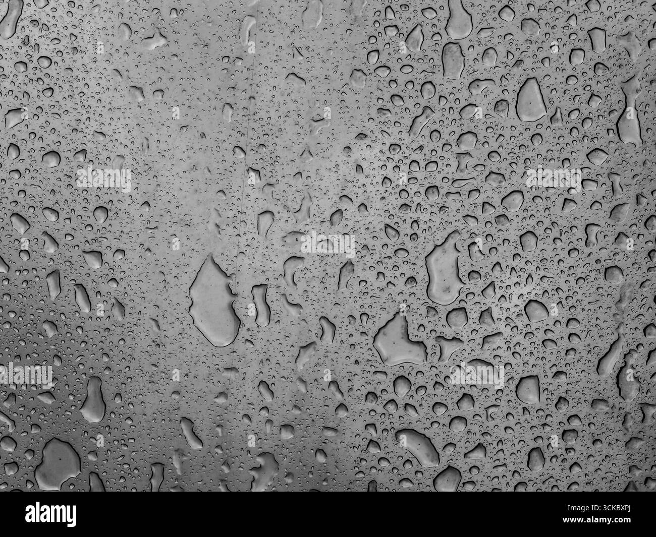Raindrop Harmony. Tracce bagnate. Foto Stock
