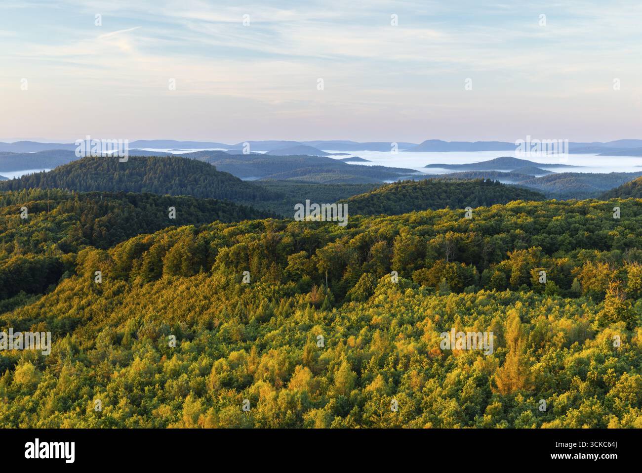 Vista sulla foresta del Palatinato, foresta mista, alba, nebbia, Luipoldsturm, Hermansbergdorf, Pflaezerwald, Renania-Palatinato, Germania Foto Stock