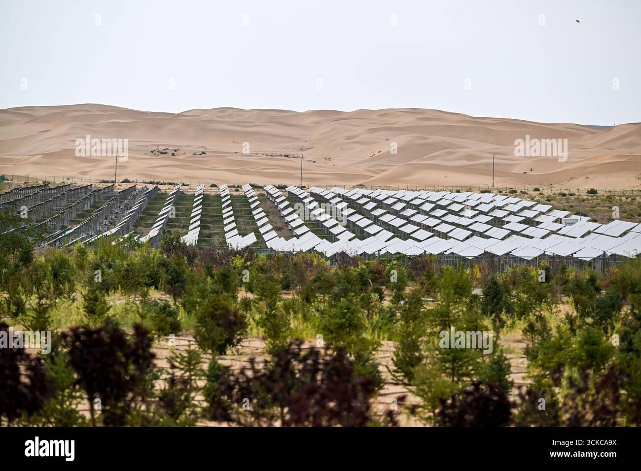 Erdos. 10 settembre 2025. Questa foto scattata il 10 settembre 2025 mostra la base fotovoltaica di Dalad Banner nel deserto di Kubuqi, nella regione autonoma della Mongolia interna della Cina settentrionale. Nel deserto di Kubuqi, file di pannelli solari blu si estendono attraverso la sabbia, trasformando il deserto in un mare di energia pulita. Negli ultimi anni, l'area ha adottato un modello di "controllo del deserto basato sul fotovoltaico", generando elettricità verde al di sopra e ripristinando l'ecosistema sottostante. Questo approccio non solo favorisce lo sviluppo di nuove energie, ma contribuisce anche a combattere la desertificazione. Crediti: Li Zhipeng/Xinhua/Alamy Live News Foto Stock
