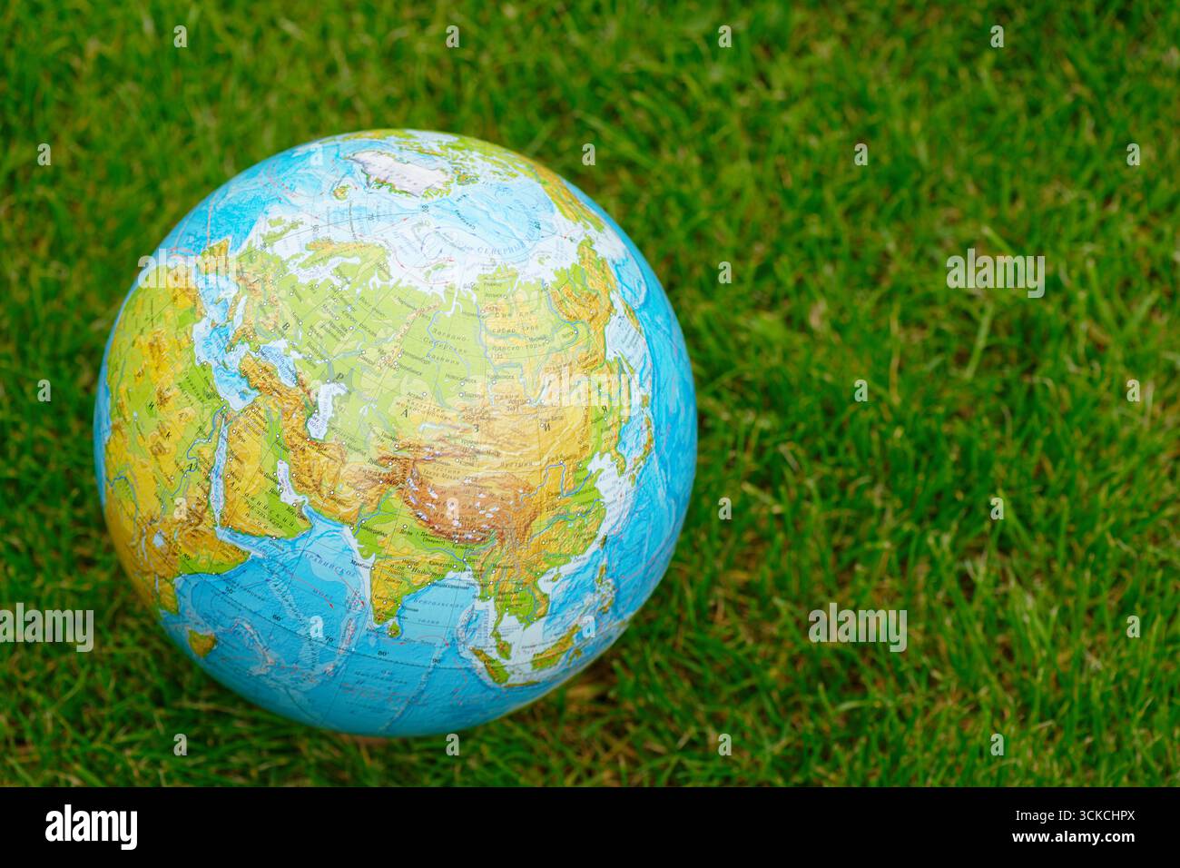 Globo terrestre su prato verde estivo Foto Stock
