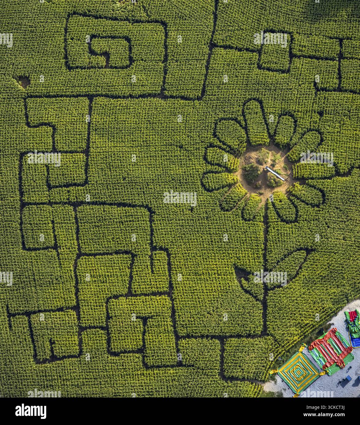 Vista aerea, labirinto di mais Terhardt e parco divertimenti, girasole nel campo, Lippramsdorf, Haltern am SEE, area della Ruhr Muensterland, Renania settentrionale-Westphal Foto Stock