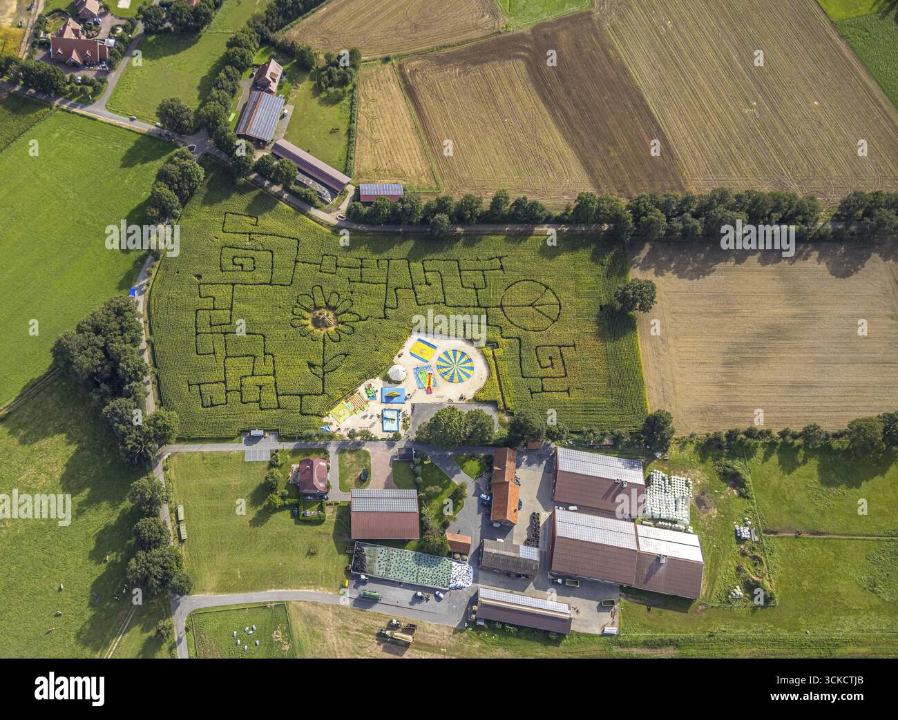 Vista aerea, labirinto di mais Terhardt e parco divertimenti, girasole nel campo, Lippramsdorf, Haltern am SEE, area della Ruhr Muensterland, Renania settentrionale-Westphal Foto Stock
