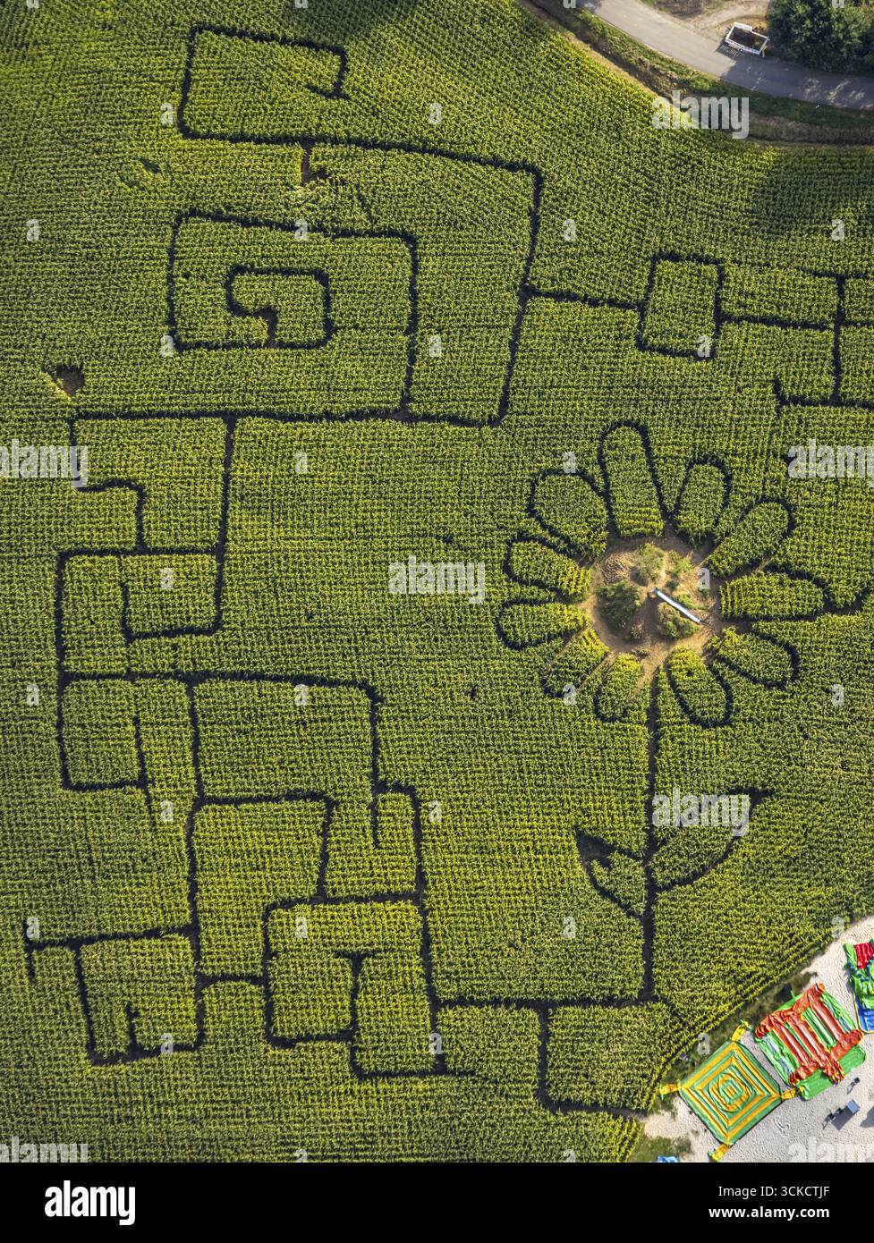 Vista aerea, labirinto di mais Terhardt e parco divertimenti, girasole nel campo, Lippramsdorf, Haltern am SEE, area della Ruhr Muensterland, Renania settentrionale-Westphal Foto Stock