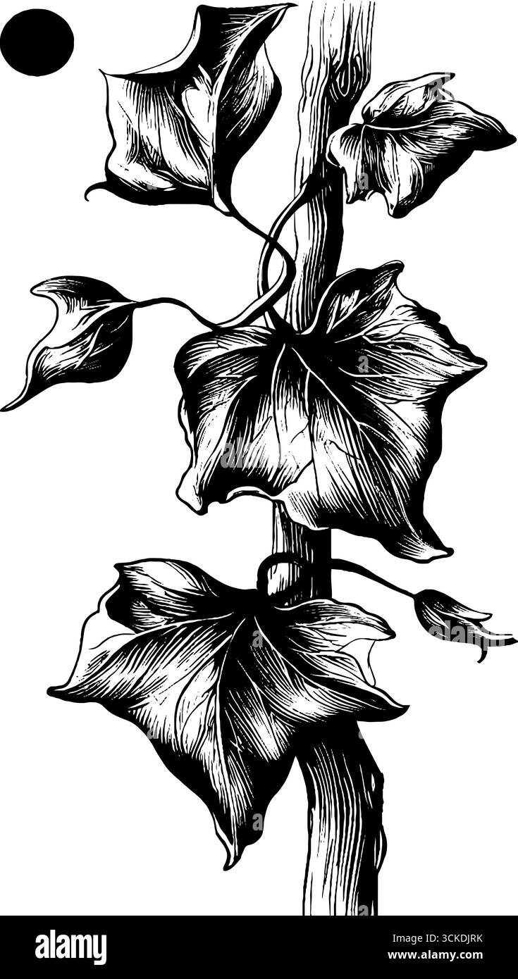 Bozzetto vintage con bordo in edera inciso per design e decorazione. Illustrazione Vettoriale