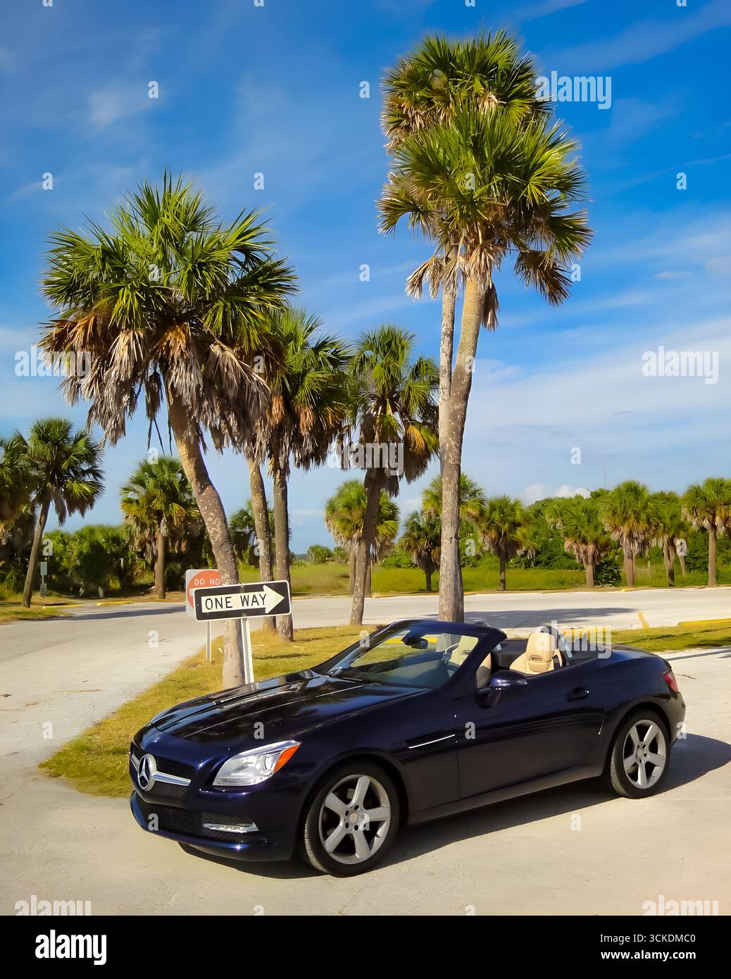 Lussuosa Mercedes-Benz SLK blu decappottabile parcheggiata vicino a palme in una giornata di sole in Florida, Stati Uniti. Foto Stock