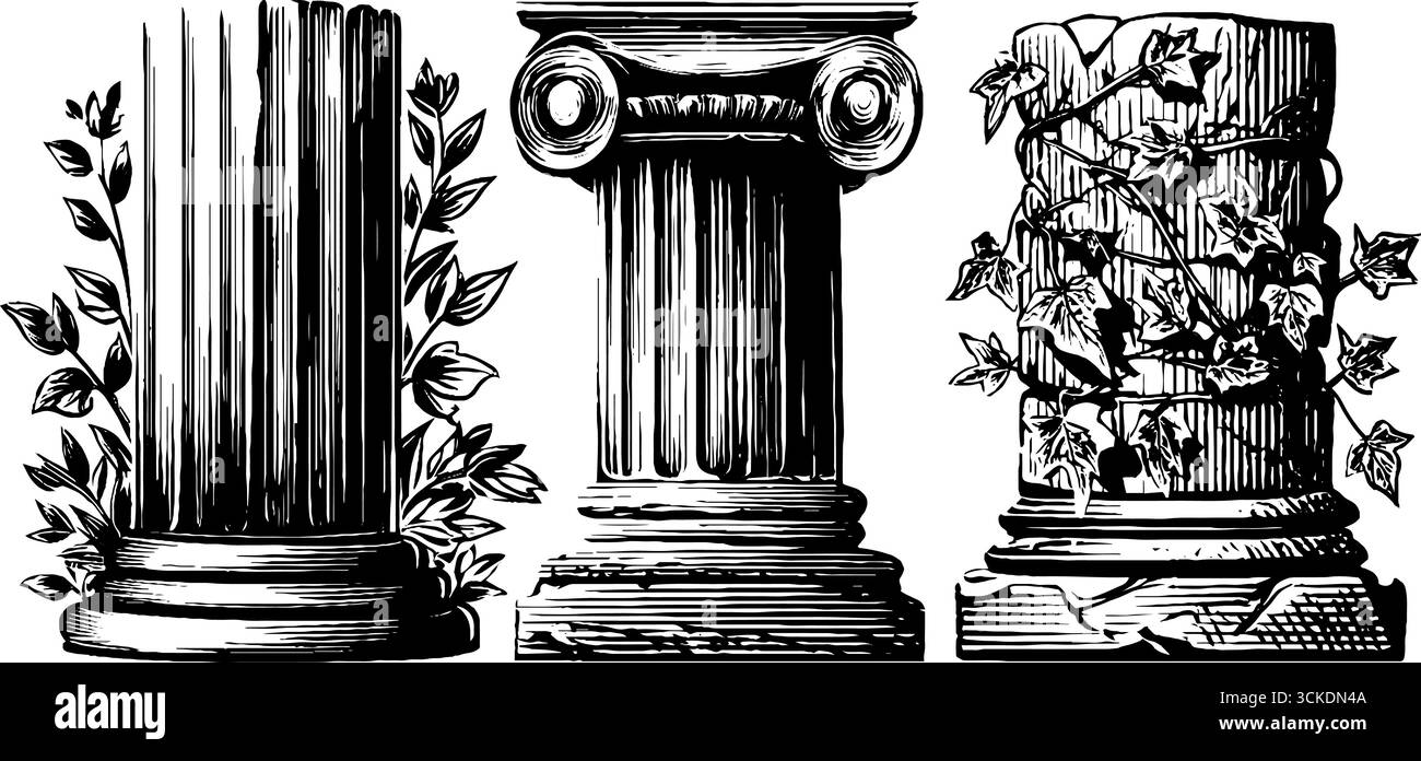 Set di colonne romane toscane con dettagli di vite - design architettonico vintage. Illustrazione Vettoriale