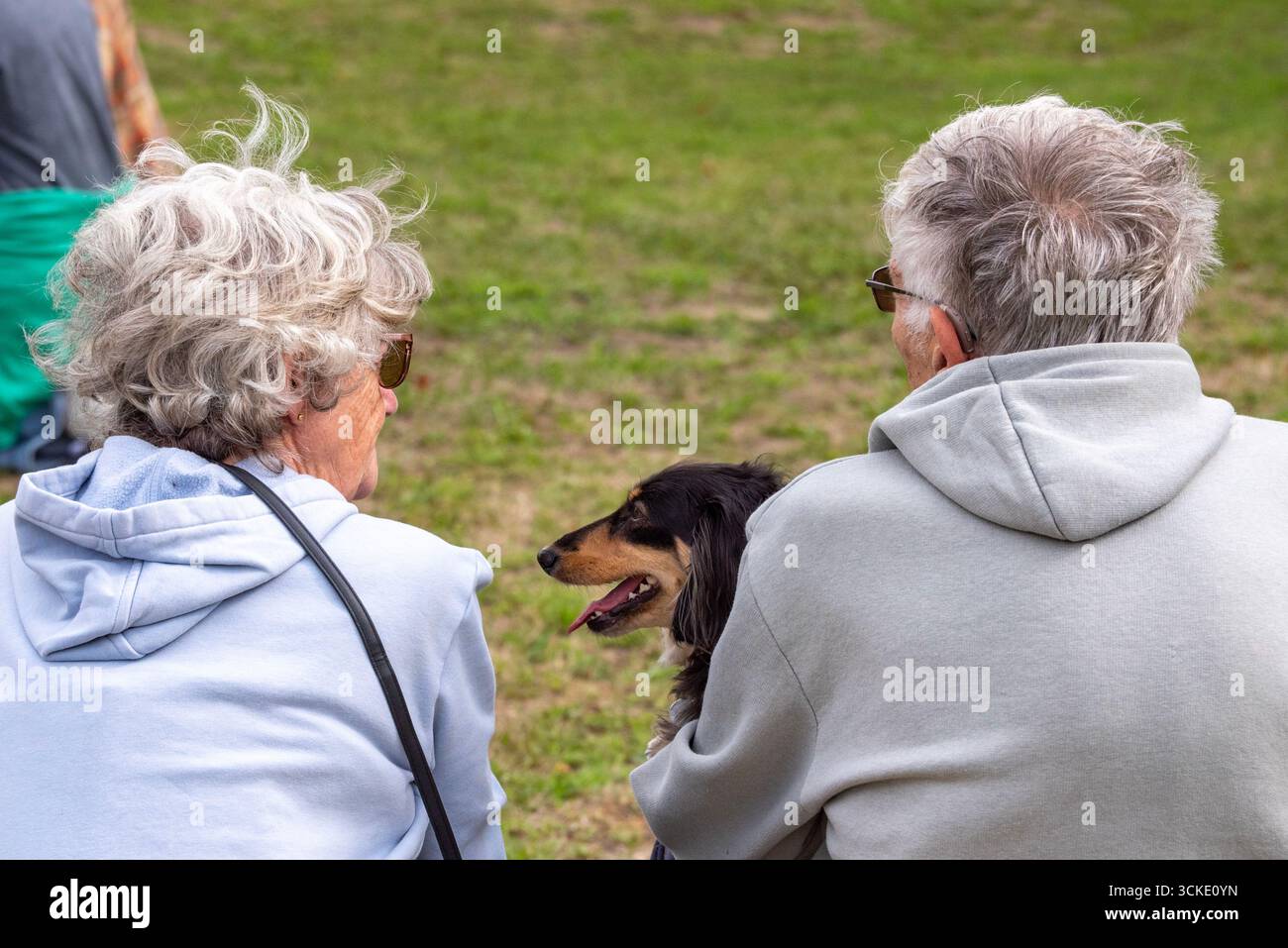 Un dachshund nero dai capelli lunghi con i suoi proprietari alla mostra canina Dachshund Day, Steeple Aston, Oxfordshire, Regno Unito Foto Stock