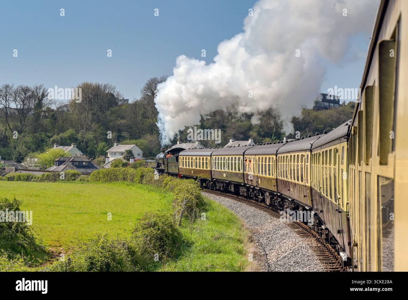 Paignton, Devon, Inghilterra, Regno Unito - 24 aprile 2025: Motore a vapore che tira un treno di carrozze d'epoca attraverso la campagna sulla Dartmouth Steam Railway. Foto Stock