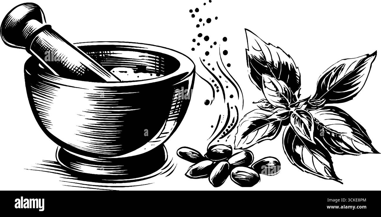Mortaio vintage inciso con ingredienti di pesto e illustrazione delle erbe per il design culinario. Illustrazione Vettoriale