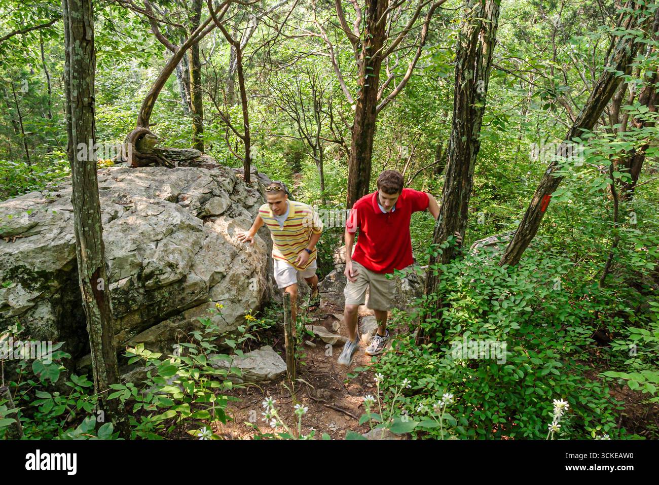Alabama Madison County, Huntsville, Land Trust sentieri escursionistici, natura, naturale, natura, naturale, paesaggio, campagna, conservazione storica, preserve, alberi, flor Foto Stock