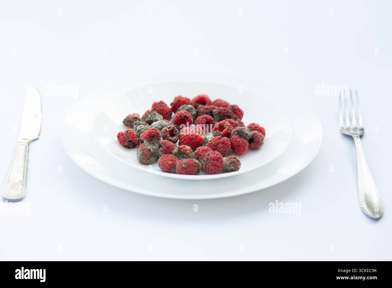 Un piatto da portata con lamponi visibilmente viziati dalla muffa, che simboleggia lo spreco di cibo e il decadimento. Foto Stock