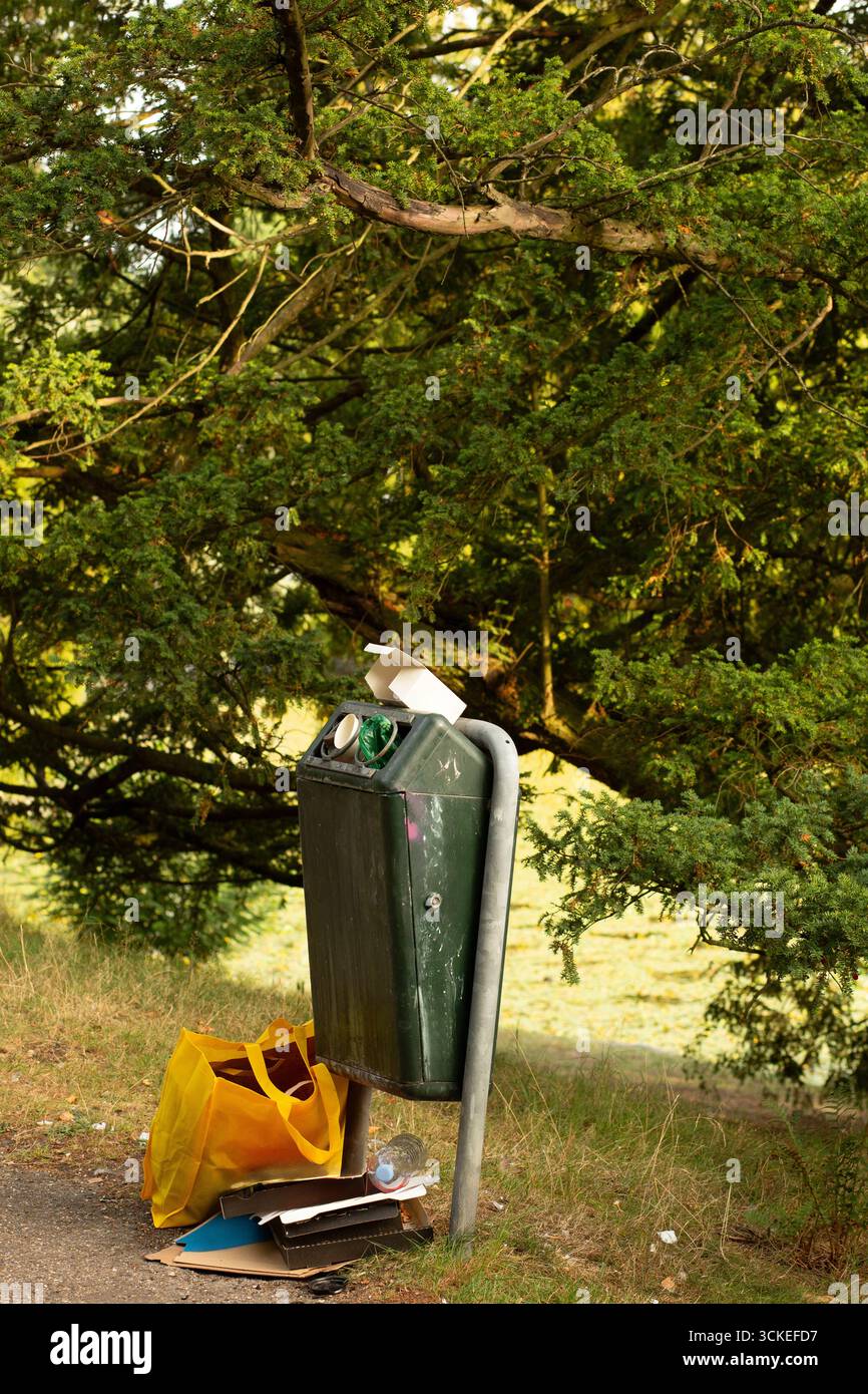 Cestino traboccante con cartone, sacchetto giallo e articoli gettati sotto gli alberi. Foto Stock