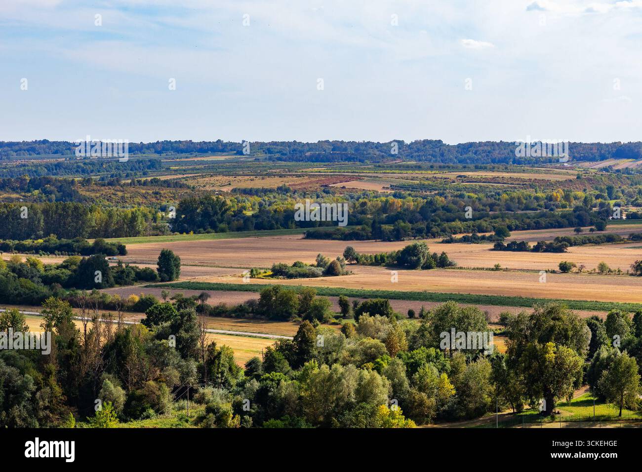 Vista rurale panoramica dei campi di patchwork, delle linee di alberi e delle dolci colline sotto la luce nebulosa del pomeriggio. Un contesto rurale equilibrato, ideale per l'agricoltura, Foto Stock