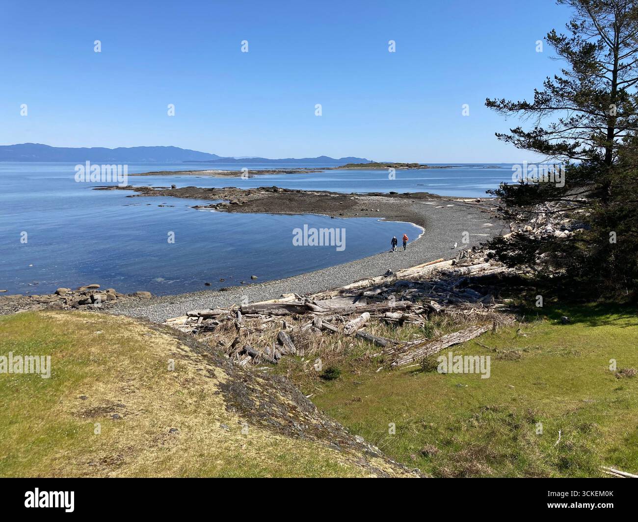 Helliwell Provincial Park, Hornby Island, British Columbia, Canada Foto Stock