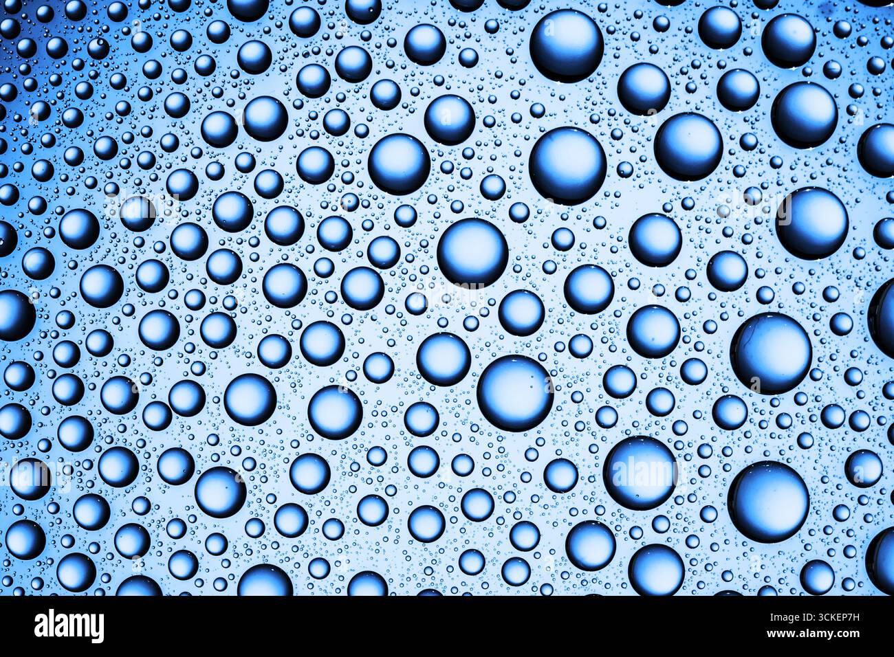 Gocce d'acqua su sfondo blu. Primo piano di bolle liquide. Consistenza fresca e pulita. Elemento di design astratto naturale. Concetto di idratazione pura. Foto Stock