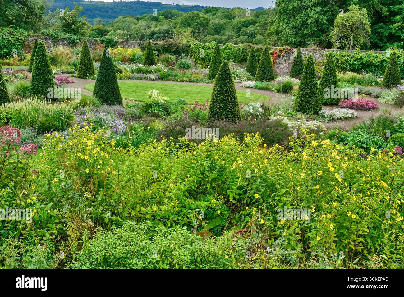 Upper Walled Garden presso Aberglasney Gardens, Llangathen, Llandeilo, Carmarthenshire Foto Stock