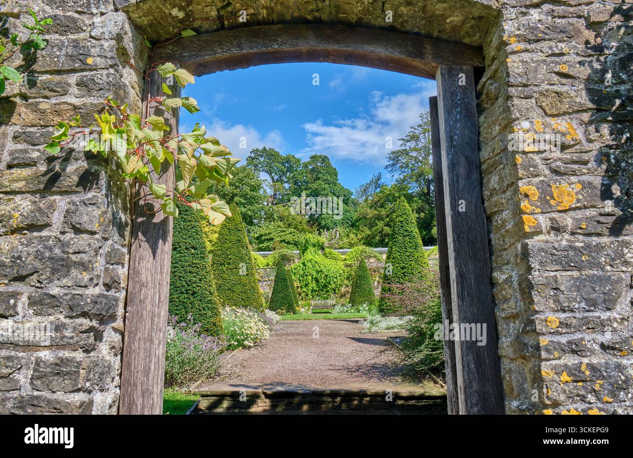 Upper Walled Garden presso Aberglasney Gardens, Llangathen, Llandeilo, Carmarthenshire Foto Stock