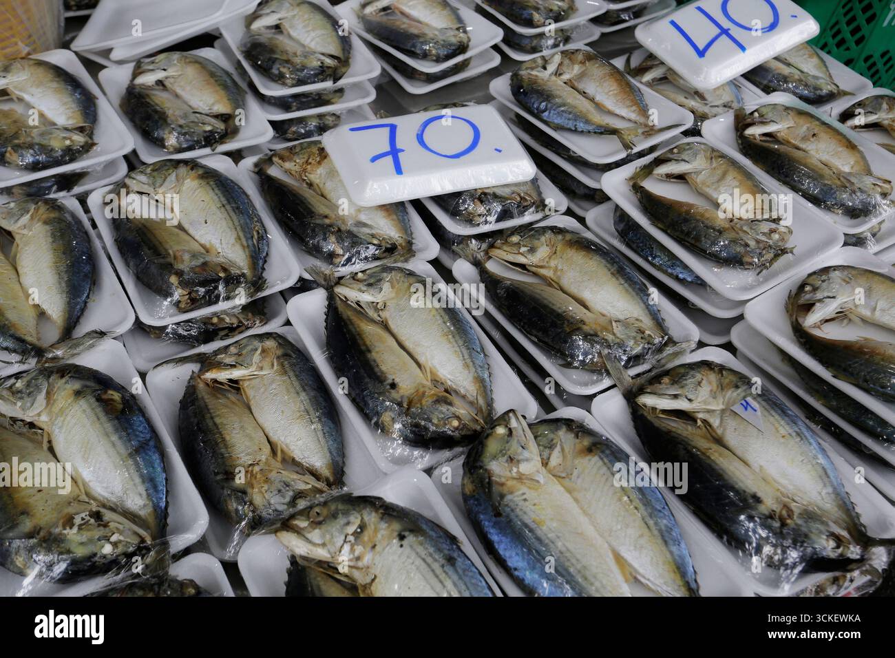 Il pesce viene venduto al mercato Khlong Toei di Bangkok, Thailandia. Foto Stock