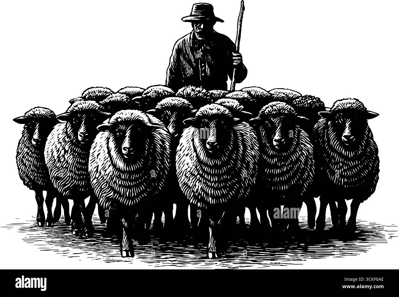 Illustrazione vintage incisa di pastore con personale e mandria di pecore. Illustrazione Vettoriale