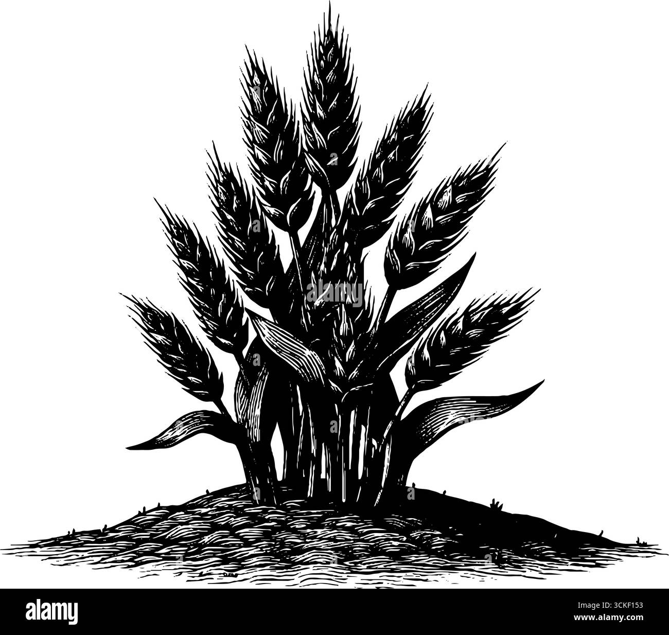 Illustrazione del campo di grano inciso - incisione vintage disegnata a mano per un design retrò. Illustrazione Vettoriale