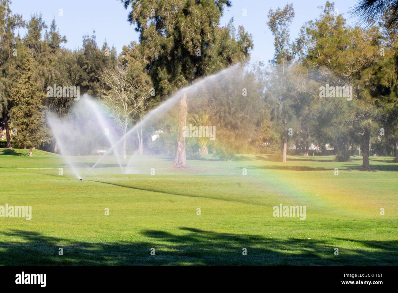 Innaffiare il fairway sul campo da golf con grandi spruzzi d'acqua che creano un arcobaleno Foto Stock