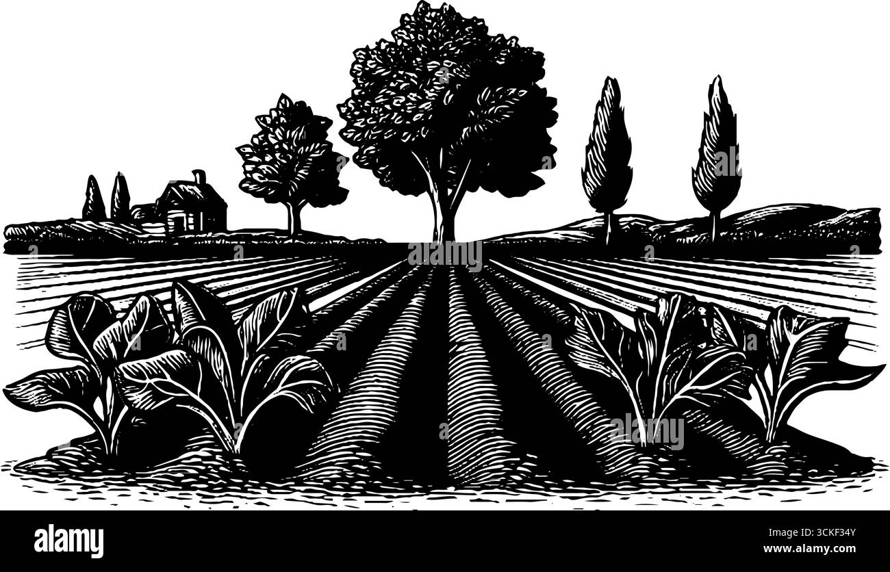 Illustrazione incisa di orto con alberi e casa di campagna - design retrò per la stampa. Illustrazione Vettoriale